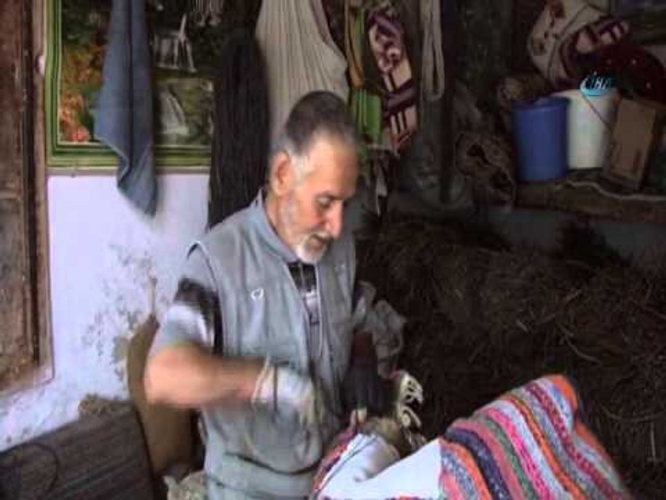Semercilik unutuluyor