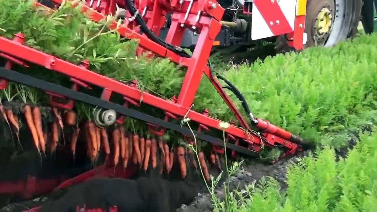 Os Videos Mais Satisfatorios Do Mundo