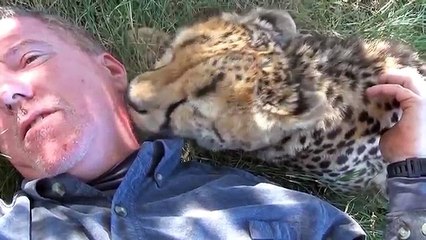 Epuisé, cet homme s’endort sous un arbre. Mais quand il se réveille, c’est la surprise