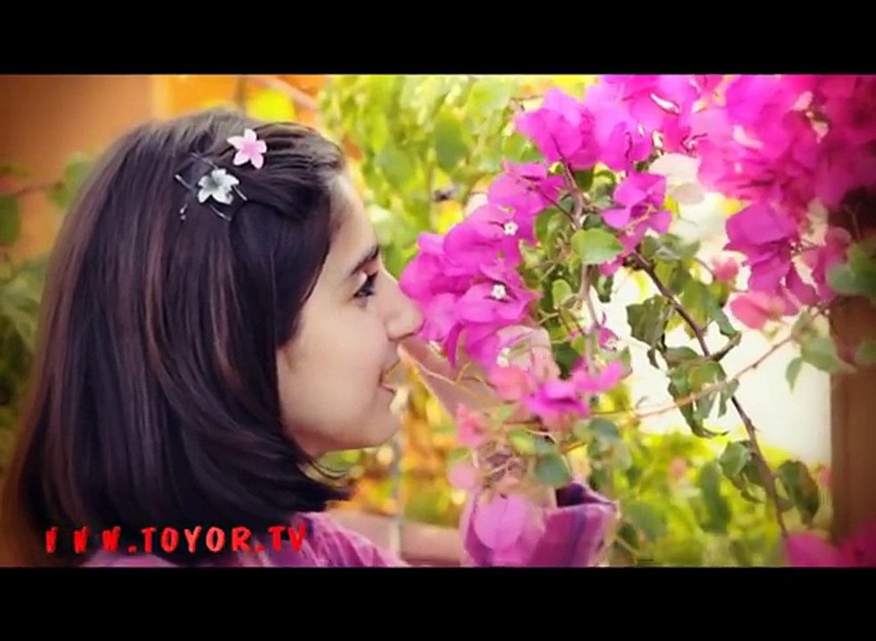 الجنة - محمد وديمة بشار   طيور الجنة