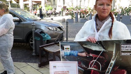 Avignon : le collectif L 214 mobilise contre la souffrance animale