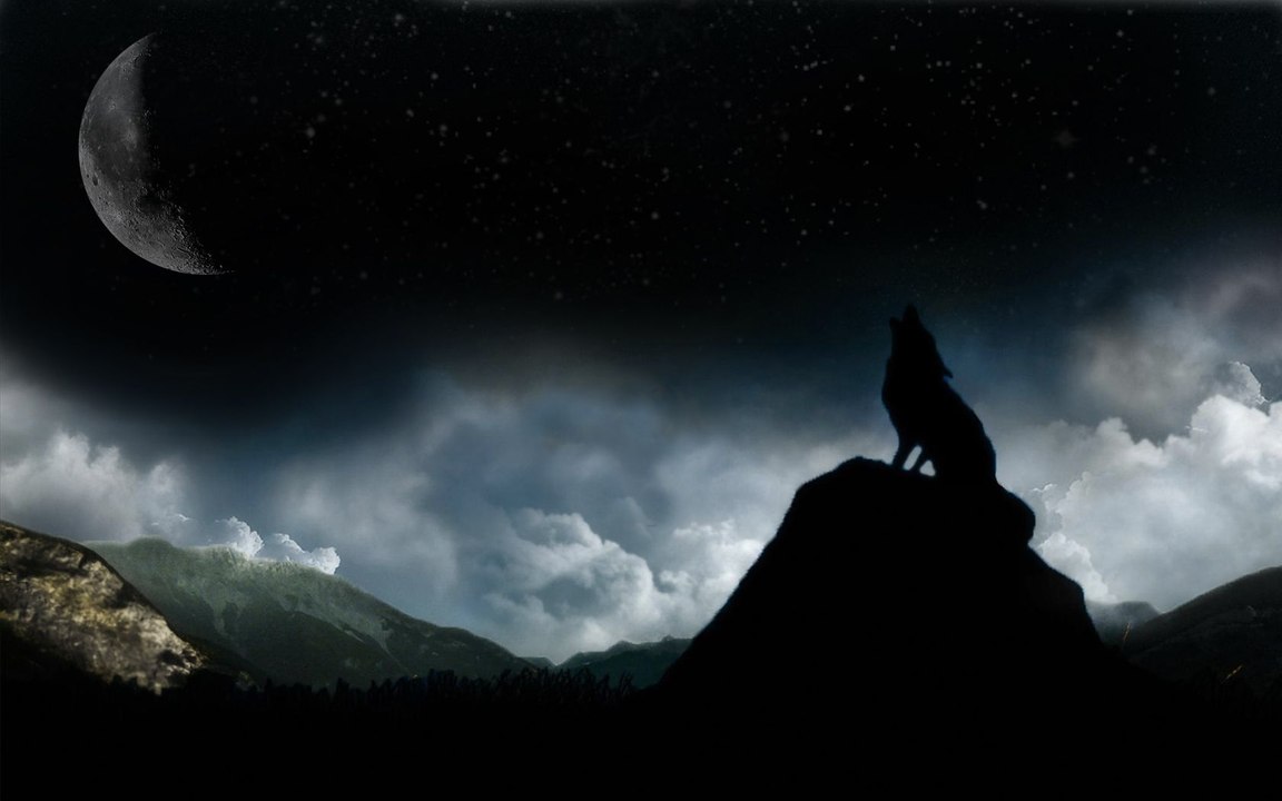 wolf 2017