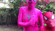 Spiderman vs Joker vs Pink Spidergirl - Burger Butt Prank! w/ Frozen Elsa Venom - Funny Su