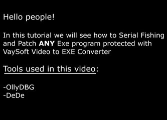 How to patch a file protected with VaySoft Video to Exe Converter