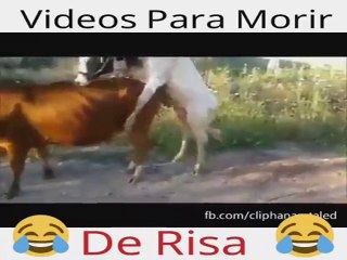 Riete Hasta Mas No Poder