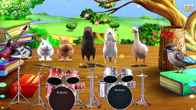 Wild Animal Sounds Video For Children - Learn Animal Names and Sounds for Babies & Kids