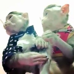 So Qute Must Watch