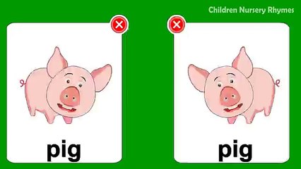 Learn Wild & Pet Animals names for children(kids) in english | Domestic Animals Pictures a