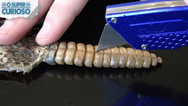 5 COISAS QUE VOCÊ NÃO SABE OQUE REALMENTE SÃO