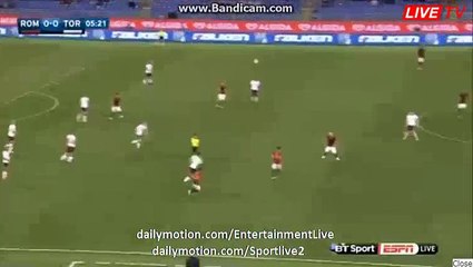 Edin Dzeko Fantastic Goal - Roma 1-0 Torino - Serie A - 19.02.2017 HD
