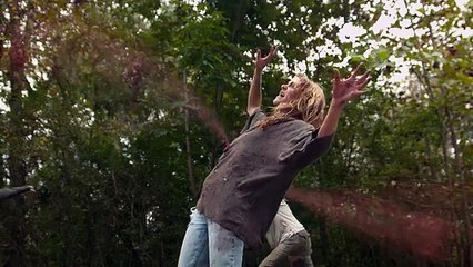 The walking dead parody by the hillywood show