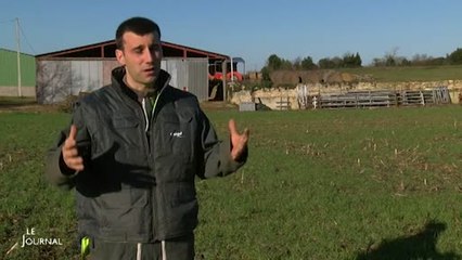 JA : Jérémy Mandin reçoit le prix prix de l'installation