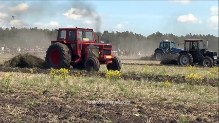 Tarla sürme yarışları