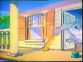 Tom And Jerry Punjabi Dubbing