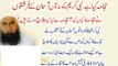 Hijama/Cupping Sunnah-Maulana Tariq Jameel Bayan
