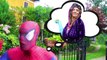 Hulk & Spiderman Becomes SpiderHulk?! w/ Hulk-Spider, Joker, Lady Hulk, Frozen Elsa & Cand