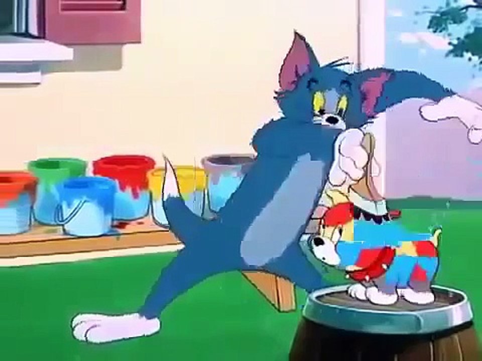 Tom And Jerry Cartoon
