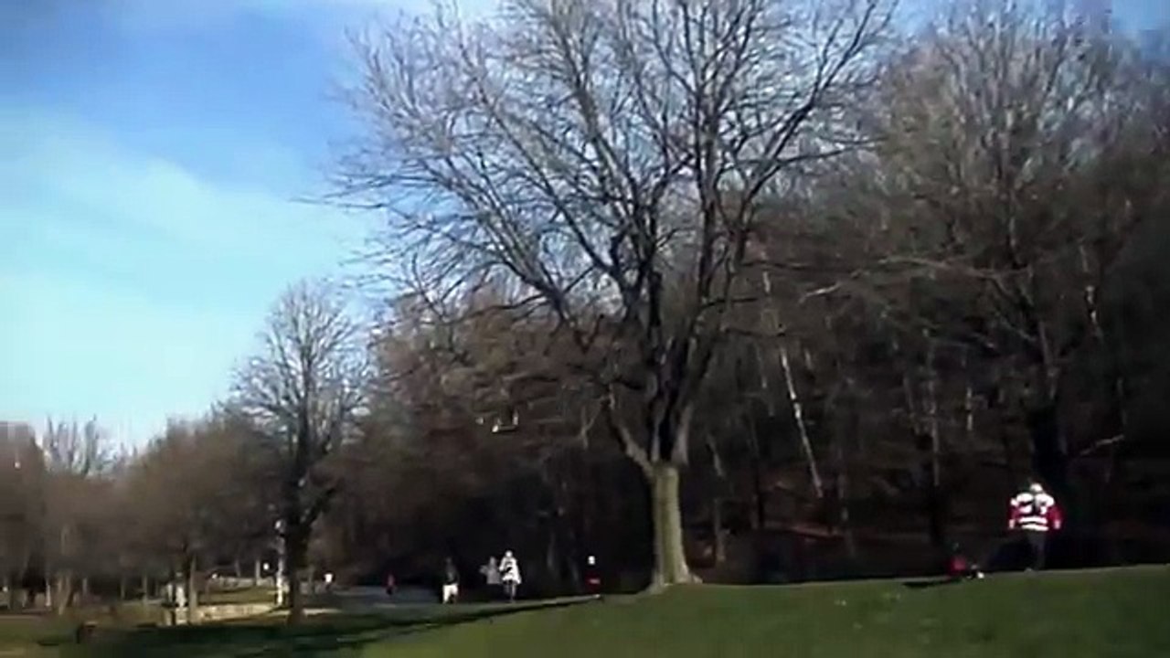 Eagle Picks Up A Baby