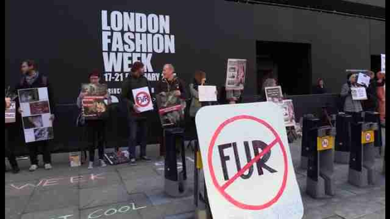 Activistas protestan contra el uso de pieles en la semana de la moda de Londres