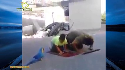 Bunlara yarılmamak mümkün mü