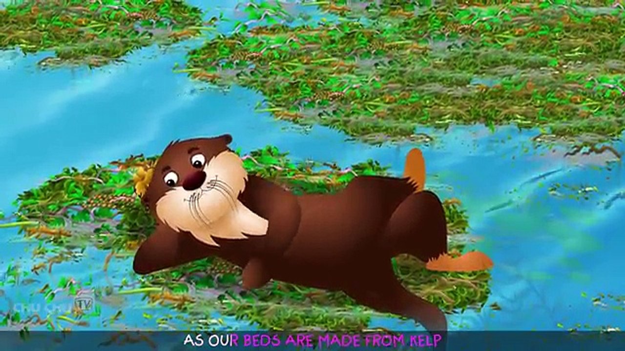 Sea Otter Nursery Rhyme | ChuChuTV Sea World | Animal Songs For Children