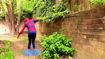 Vampire Frozen Elsa vs Vampire Spiderman + Bubblegumball playdoh tongues superhero in real