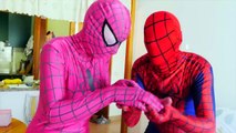 Spiderman vs Frozen Elsa BALL PIT SHOW - Maleficent Pink, Spidergirl, FUN superheroes in R