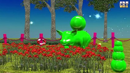 Finger Family || Learning Nursery Rhymes For Catoon Kids Rhymes Compilation