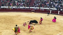 Un torero encorné