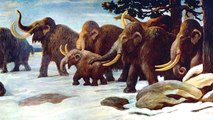 Espécie de Mamute que desapareceu há quase 5 mil anos pode ser trazido de volta da extinção