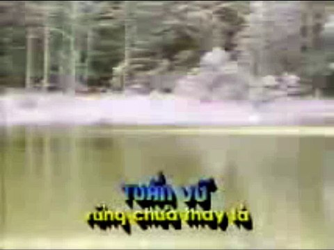Rừng chưa thay lá - Tuấn Vũ