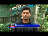 NET12 Yayasan Cikananga Konservasi Terpadu Sebagai Pusat Penyelamatan Satwa Terbesar di Indonesia