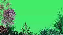 green screen trees blowing in the wind