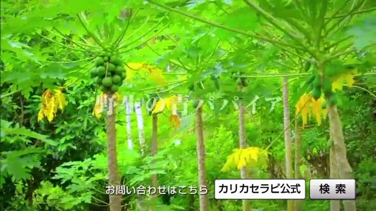 ペットの王国　ワンだランド　動物の足裏から分かる驚きの生態  愛犬の歯チェック   2017年02月19日 170219 (15)