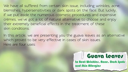 Guava Leaves to Beat Wrinkles, Acne, Dark Spots and Skin Allergies