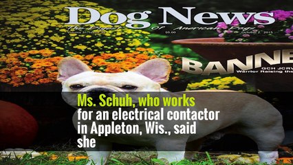 For dog lovers, watching Rumor — the German shepherd named best in show this week at the 141st Westminster