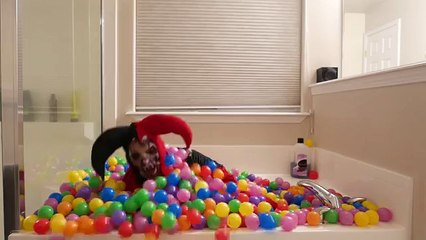 Crazy Joker vs Zombie Joker in Real Life - Superhero Zombie Movie!!