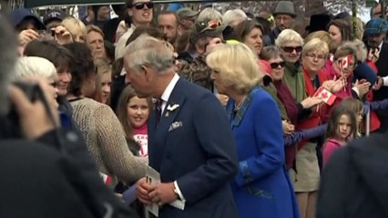 Royal Biographer Prince Charles.....