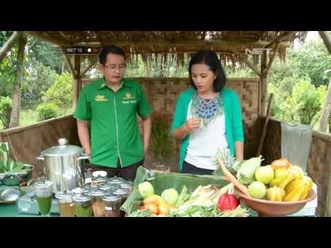 NET12 - Warisan resep obat nusantara di Kampung Jamu