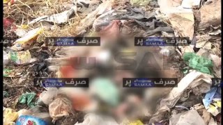 Body parts thrown at trash dump ate by dogs in Sehwan