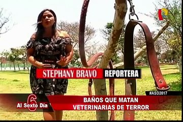 Veterinarias del Terror: vivir o morir en el baño