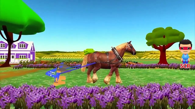 Las Carreras De Caballos Videos Para Niños De Colores Caballo De Dibujos Animados NurseryRhymes Para Bebés Animales Fi