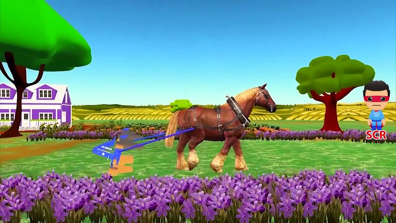Las Carreras De Caballos Videos Para Niños De Colores Caballo De Dibujos Animados NurseryRhymes Para Bebés Animales Fi