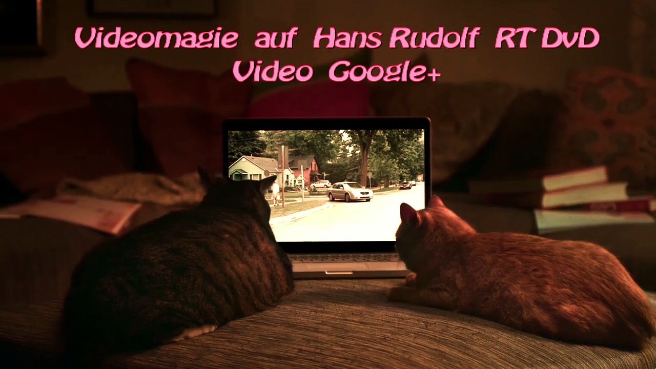 Hans Rudolf RT DvD Video Google+