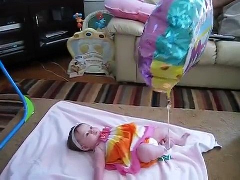 Funny Cute Baby Videos - Funny Dogs and Babies - Cute Dogs And Adorable Babies ..
