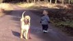 Ce bébé promène son chien et s'arrete pour jouer dans la flaque, regardez la réaction du chien