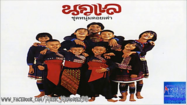 นกแล อัลบั้ม หนุ่มดอยเต่า HD By Music Memories90