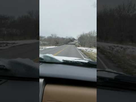 Driver Unable to Avoid Colliding With Birds