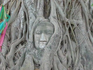 Thailande-Ayutthaya (Phra Nakon Sri Ayutthaya)