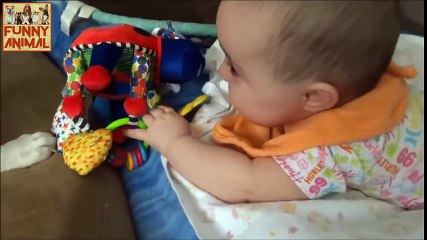 DOG AND BABY! THIS FUNNY VIDEO CRAZY